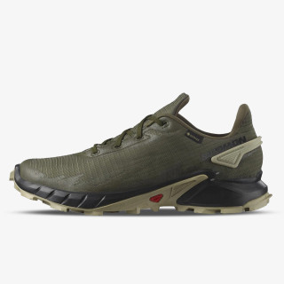 SALOMON Patike ALPHACROSS 4 GTX