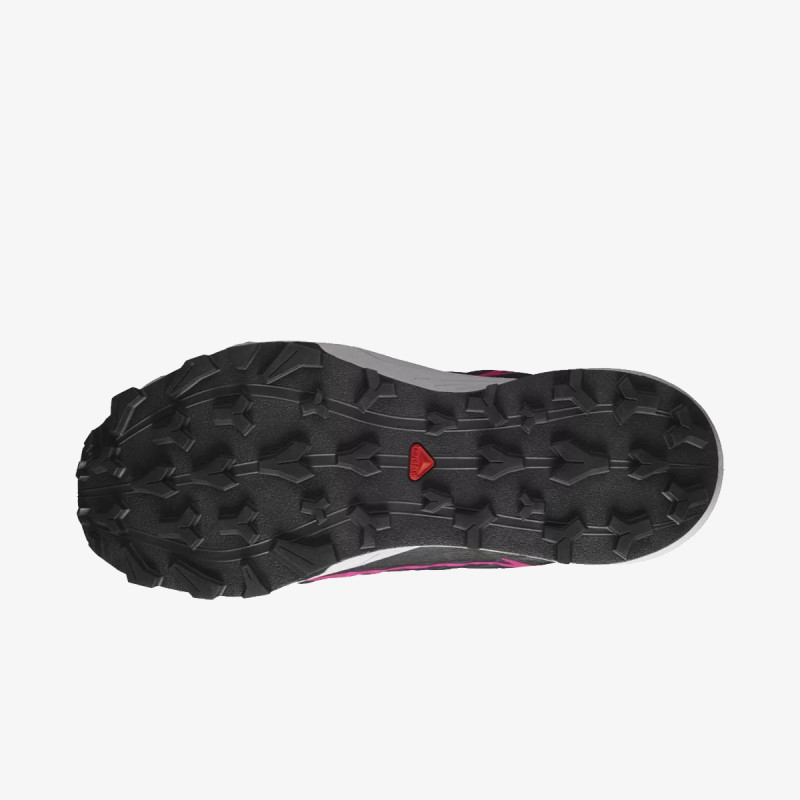 SALOMON Patike Thundercross GTX